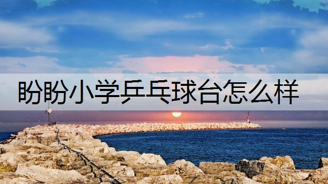 盼盼小学乒乓球台怎么样
