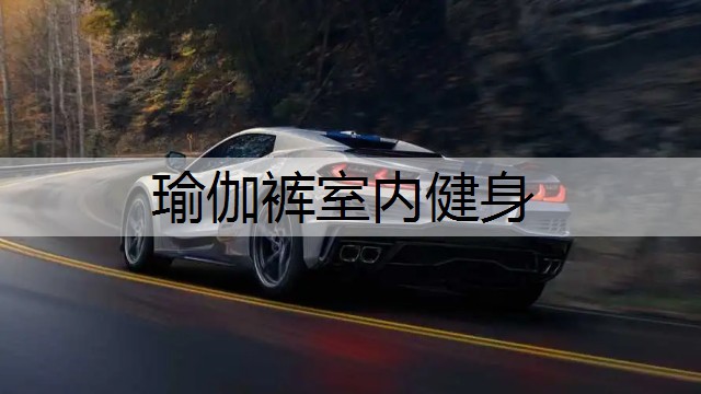 瑜伽裤室内健身
