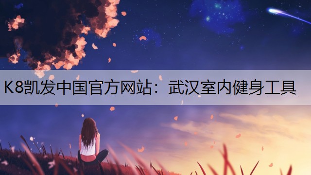 K8凯发中国官方网站：武汉室内健身工具