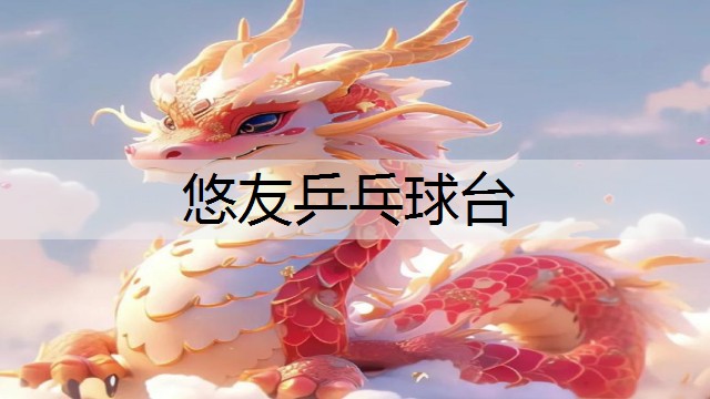 悠友乒乓球台