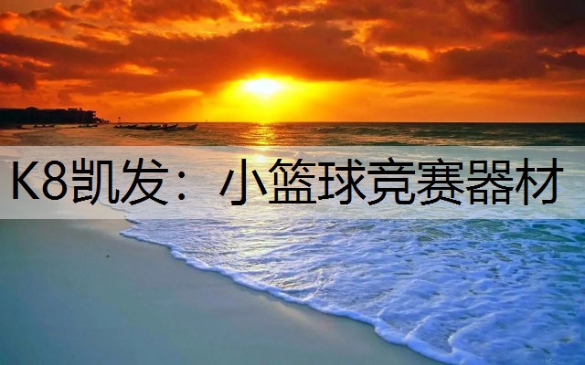 K8凯发：小篮球竞赛器材