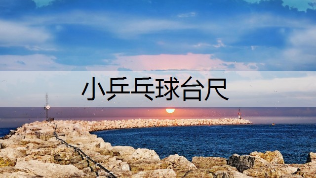 小乒乓球台尺