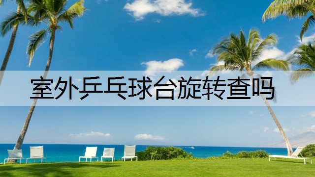 室外乒乓球台旋转查吗