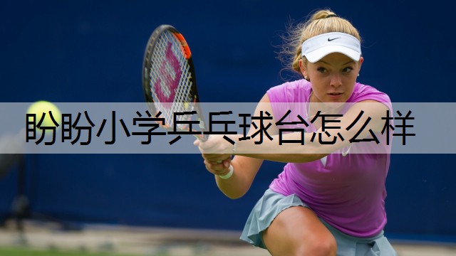 盼盼小学乒乓球台怎么样