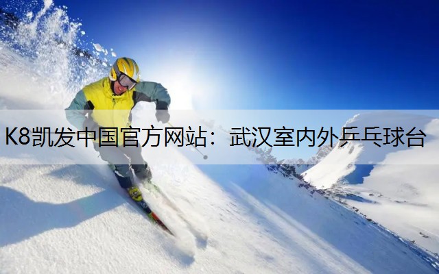 武汉室内外乒乓球台