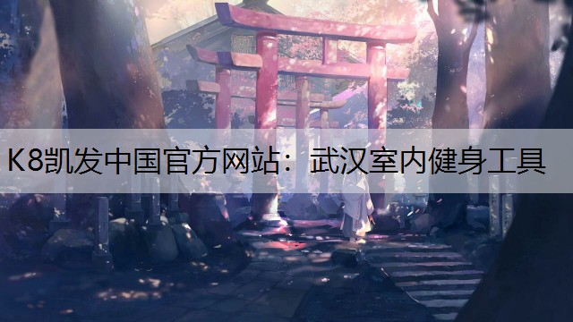 武汉室内健身工具