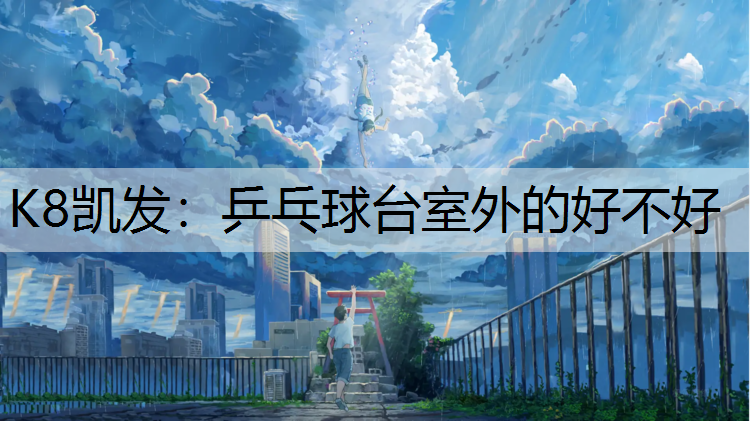 乒乓球台室外的好不好